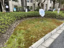 精装 满五 现场实勘 必看好房