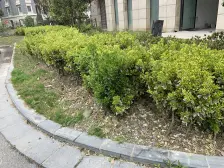 通用国际 1室1厅 北