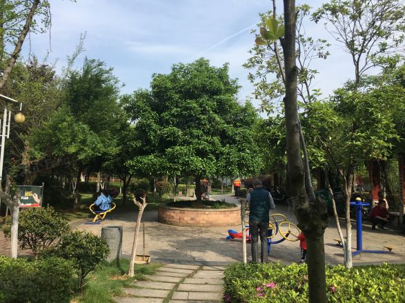 西湖丽景实景图