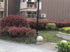 原始动迁。税费低楼层好。采光好。