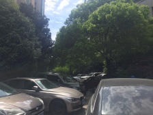 独立厨卫,通煤气,朝南楼层好,视野开阔