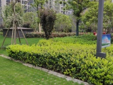 万科洋房户型,真正的端户洋房,通透,方正!