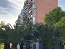 电梯房,一梯两户,居家装修,装修齐全