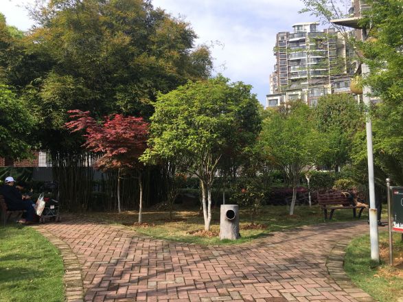 西湖丽景实景图