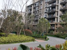 湖东·海悦花园二区·6室·2厅 有电梯大院子户型方正