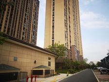 联排边户 前后旁大院子 空间大方便改造