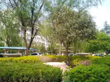 精装一室,诚心出售,有地下室!