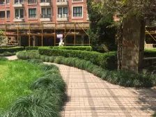 梧桐花园 1室2厅 东