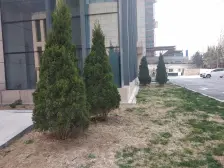 近纳米 因特摩尔近地铁 两个卧室都带窗户大小相差不大