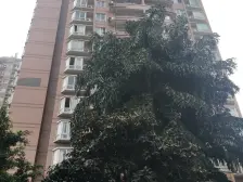 彩甸苑 1室1厅 南 北