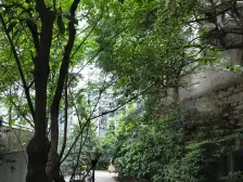 石桥铺 我平方一房28万