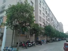 泺口片区 两室户型方正 有地下室 小户型过度好房