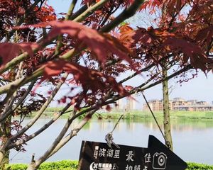 房子楼层好,采光好,小区绿化好,高档