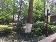 南坪 万达广场锋邸一房60万