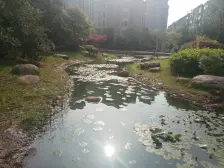 保集半岛御河湾 电梯复式楼 视野开阔 送大露台