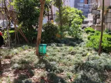 内环内独门独户产权清晰满五精装修拎包入住