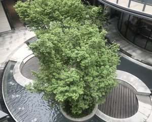电建·洺悦玺3室2厅西南