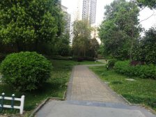 园区湖东改善三房,小高层,户型方正,毛坯随心装!