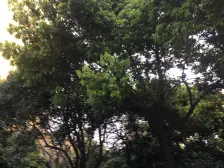 外销房,边套全明,近地铁医院,闹中取静,价可谈