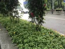 天福克拉广场 1室0厅 东南