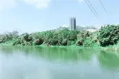 周边配套-附近东江美景