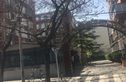 马家堡55号院实景图