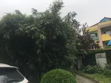 新泾之光!!高楼小区中间位置看房方便