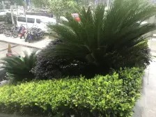 户型紧凑 ,功能齐全, 户型方正, 视野采光不错