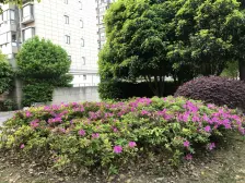 楼层好,位置好,诚意出售,看房方便