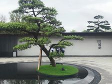 精装修,3房2卫,靓楼层,采光好