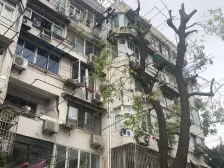 店长主推 中间楼层 美丽家园小区 100米通勤