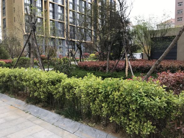 裕龙檀顶山实景图