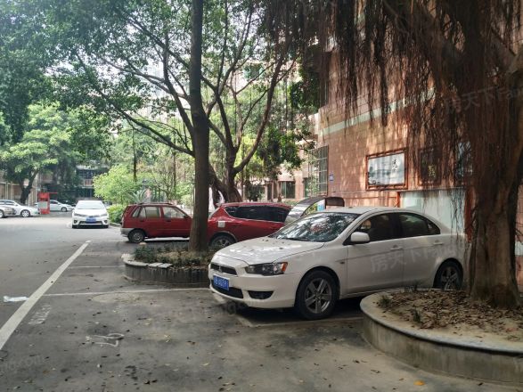 华阳教师苑实景图