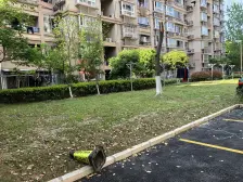 莘庄·邻里苑·1室·1厅