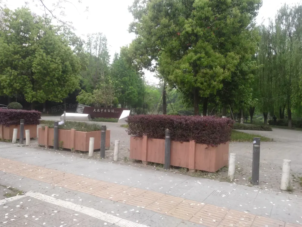 实景图
