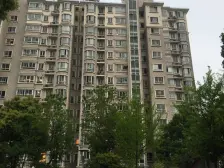 近地铁,现场实勘 电梯房,精装,店长力推