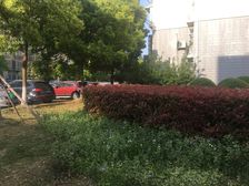 电梯房无抵押,中间楼层,新上房源