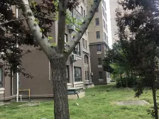 南北通 总价低 税费干净清晰 近地铁 交通无忧