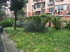 地铁口!中间楼层!户型优质!北新泾之光!