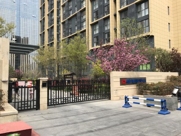 裕龙檀顶山实景图