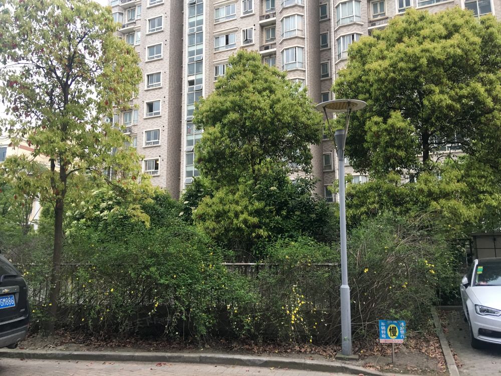 小区相关图