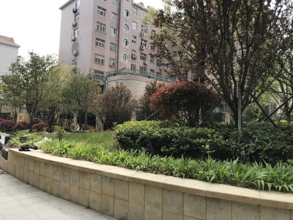 裕龙檀顶山实景图