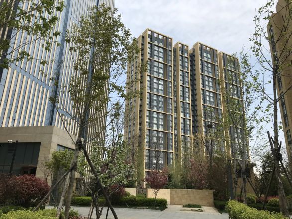 裕龙檀顶山实景图