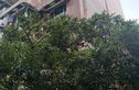 华阳教师苑实景图