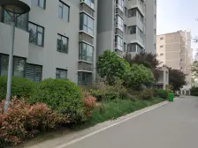 郑大旁,检察院家属院97平大两室