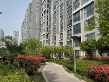 郑大北门 南北通透小高层 两梯两户