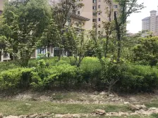 闵浦板8号线地铁站六百米 南北通两室沿河景观 满五年