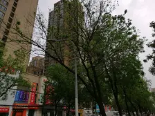 学府小区,42平,双气一室一厅,产权清晰,随时可签约