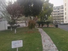 芙蓉新村 低密度社区 交通便利 主卧朝南 正规商品房