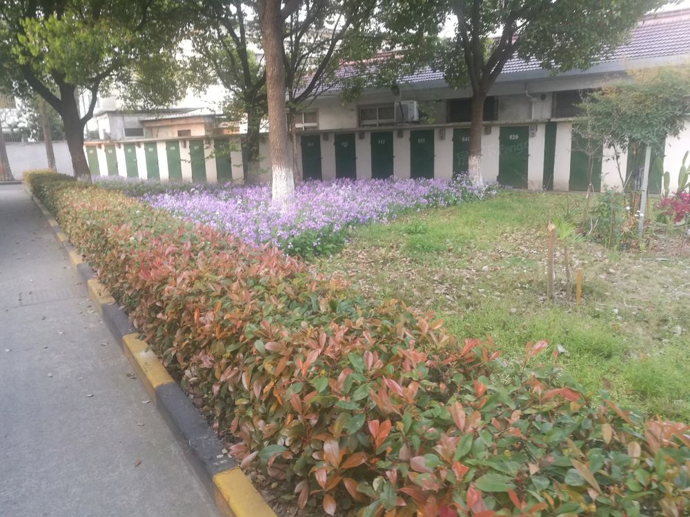 小区相关图